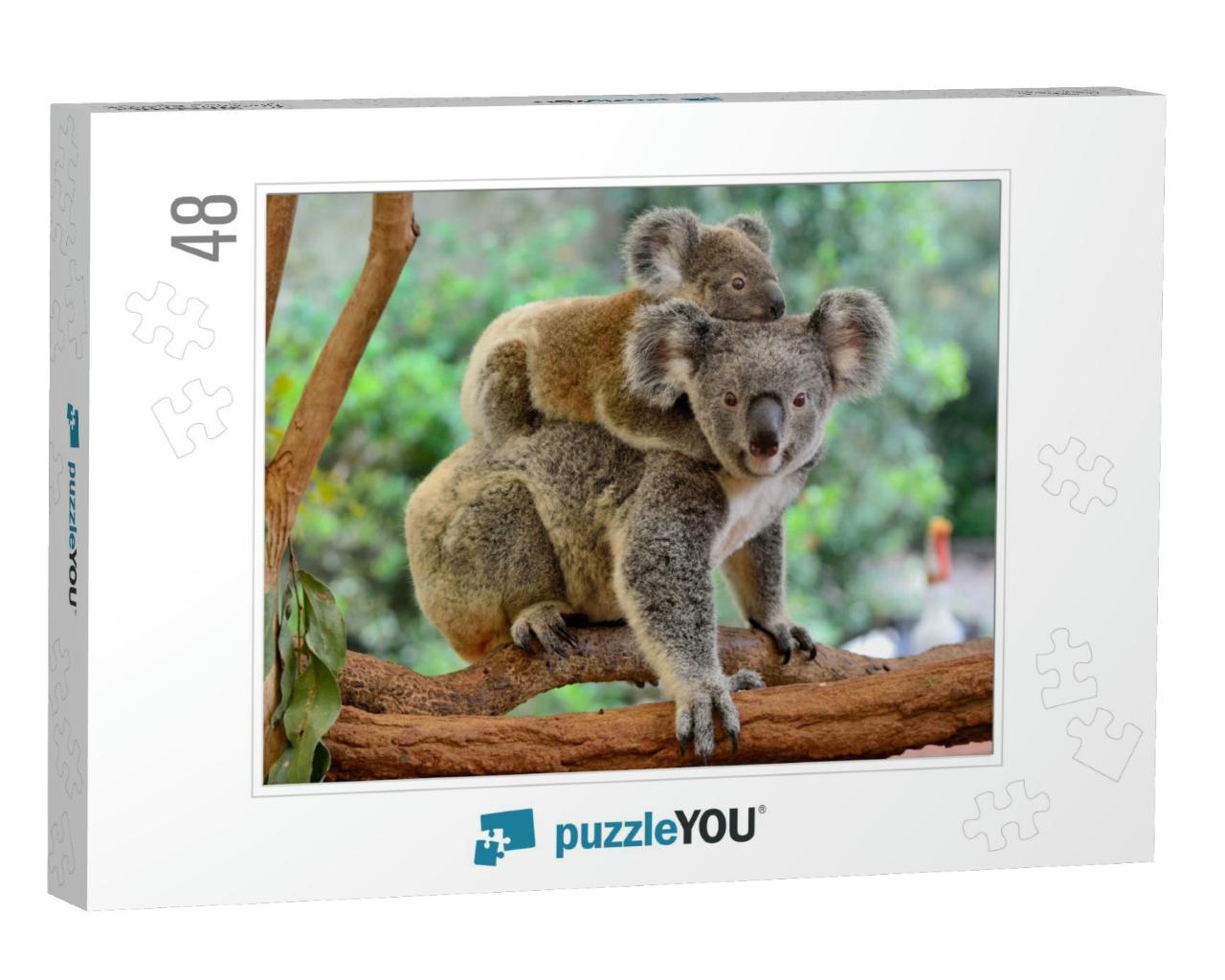 Mother Koala with Baby on Her Back, on Eucalyptus Tree... Jigsaw Puzzle with 48 pieces