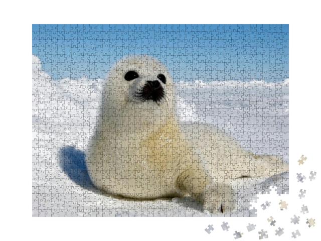 Baby Harp Seal Magdalen Islands... Jigsaw Puzzle with 1000 pieces