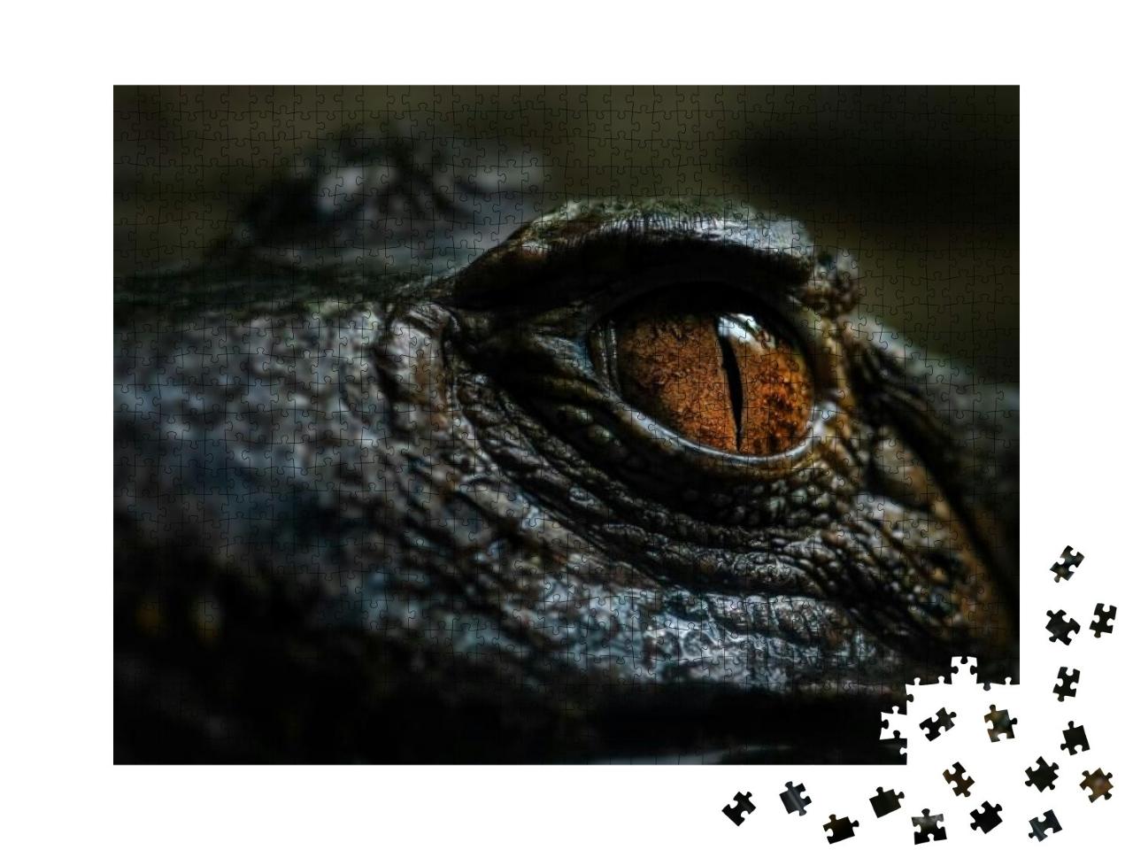Cuviers Smooth-Fronted Caiman - Paleosuchus Palpebrosus... Jigsaw Puzzle with 1000 pieces