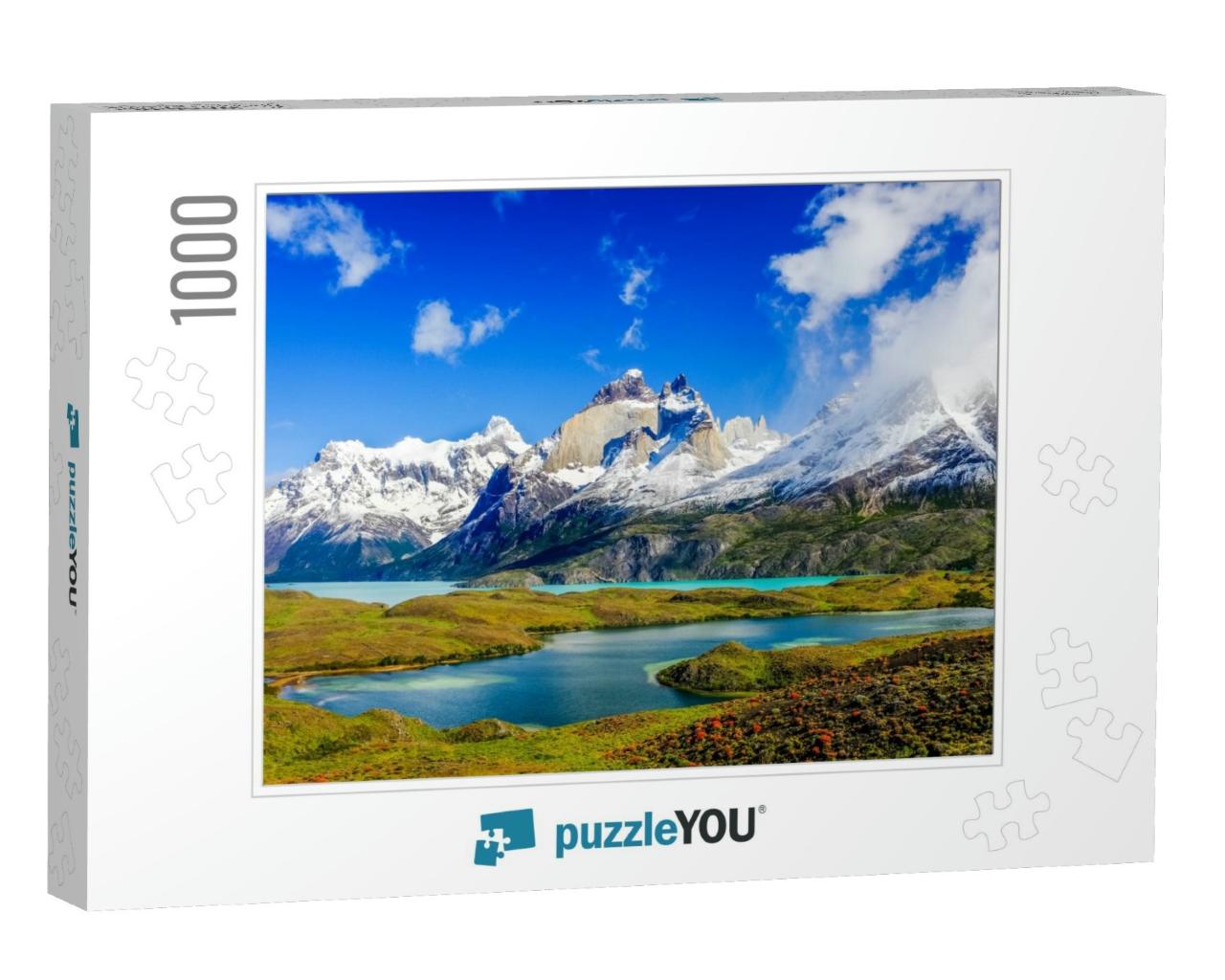Beautiful Patagonia Landscape of Andes Mountain Range, Wi... Jigsaw Puzzle with 1000 pieces