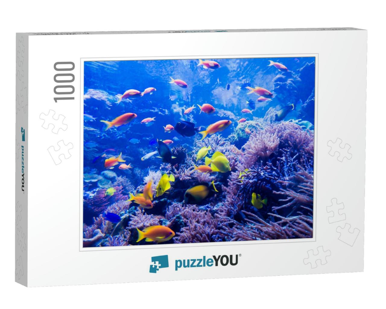 Beautiful Underwater World... Jigsaw Puzzle with 1000 pieces