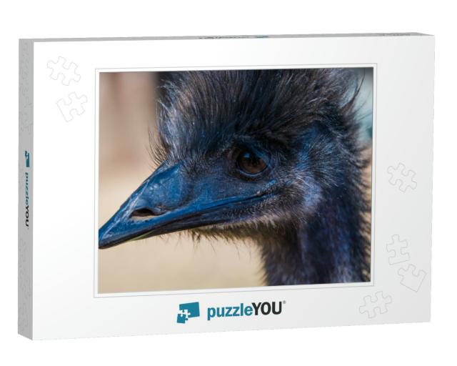 An Emu in Profile. Emus Live Only About 10 to 20 Years. E... Jigsaw Puzzle
