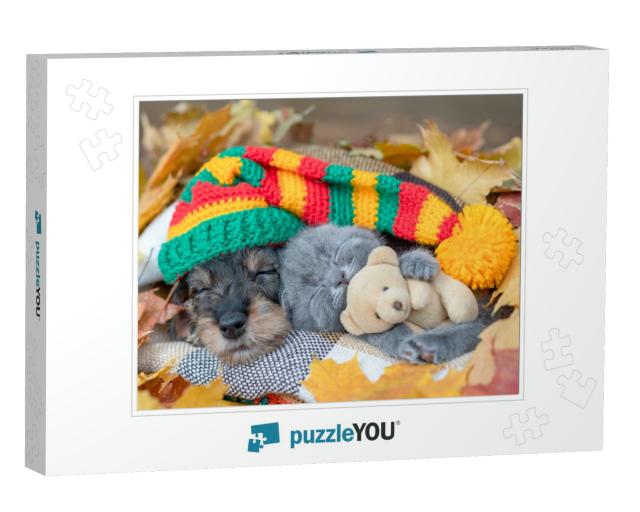 Dachshund Puppy Wearing Warm Hat & Kitten Hugging Toy Bea... Jigsaw Puzzle