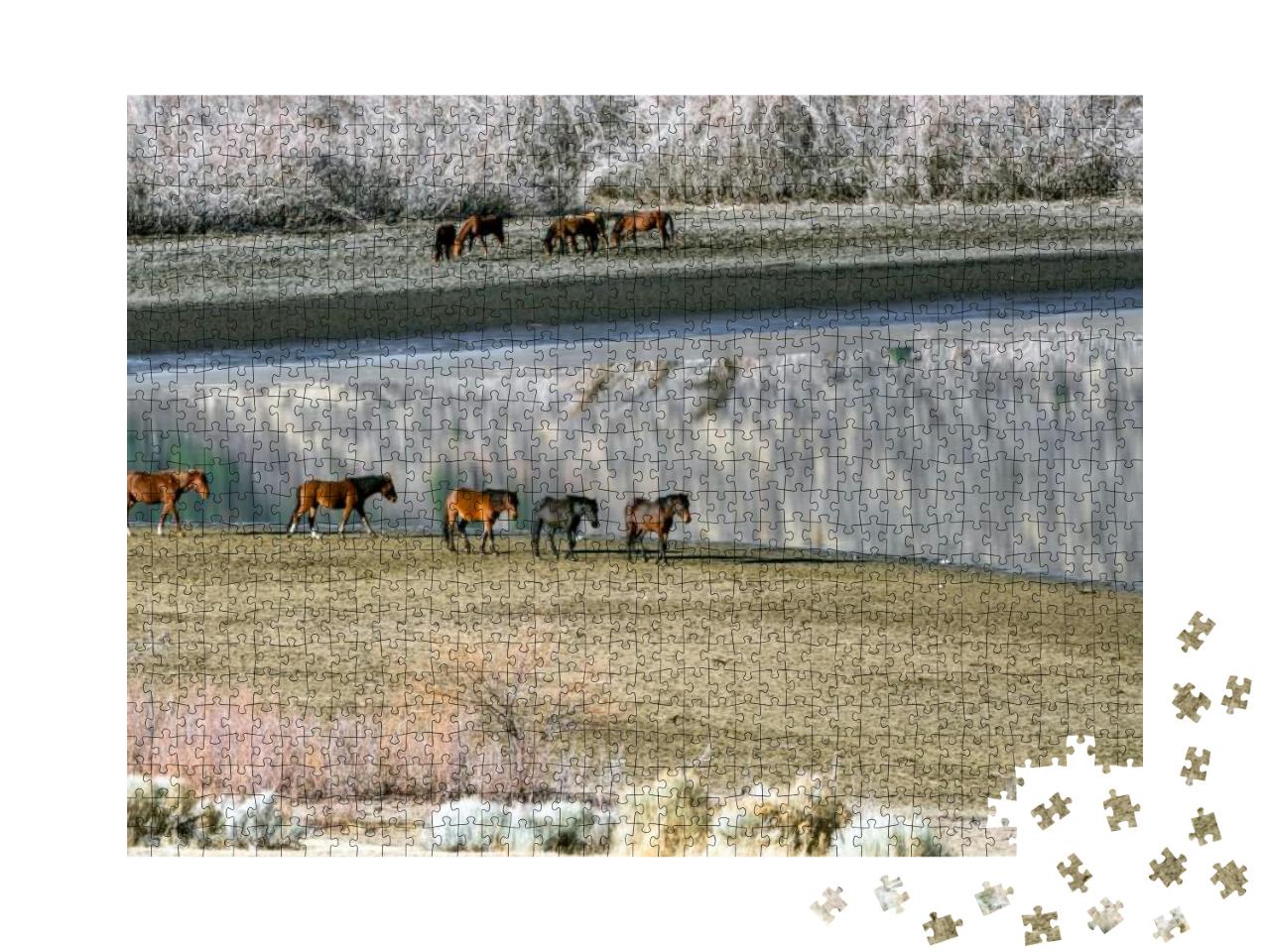 Wild Mustang Horses Walking Along Washoe Lake in Northern... Jigsaw Puzzle with 1000 pieces