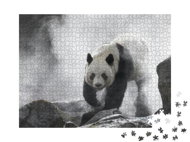 Giant Panda in the Fog... Jigsaw Puzzle with 1000 pieces