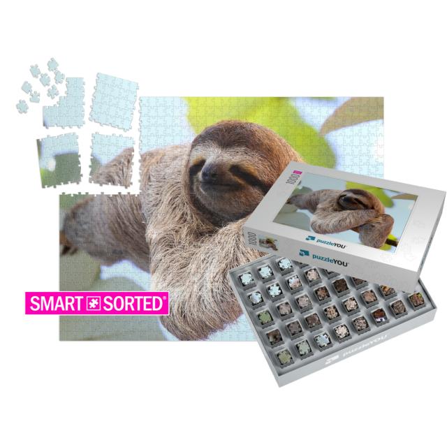 Happy Sloth Hanging on the Tree... | SMART SORTED® | Jigsaw Puzzle with 1000 pieces