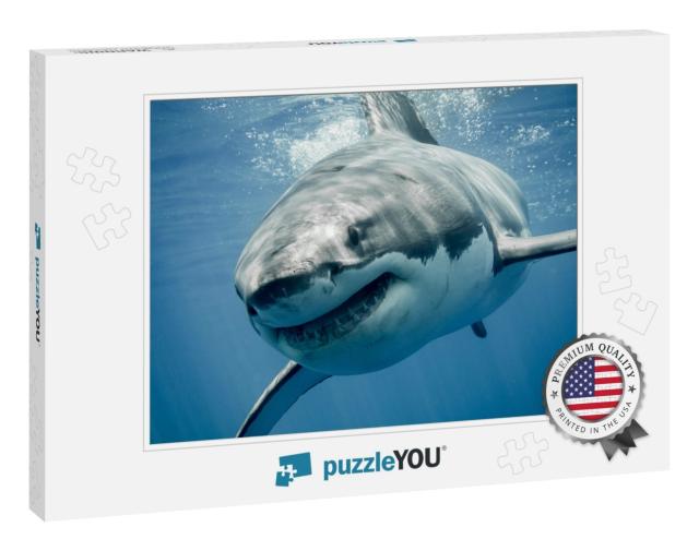 Great White Shark Smiling... Jigsaw Puzzle