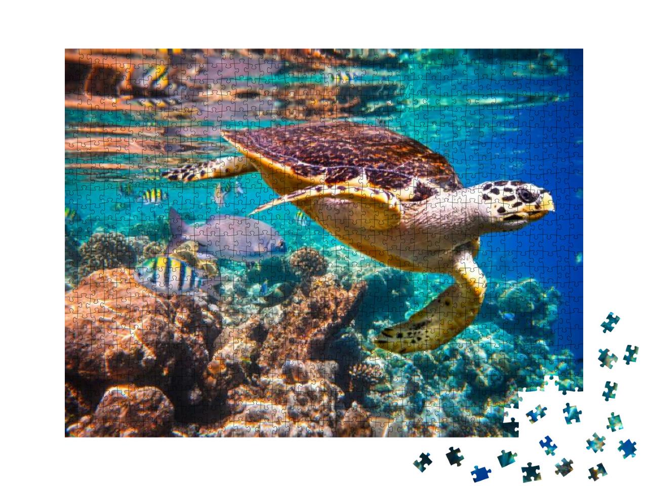 Hawksbill Turtle - Eretmochelys Imbricata Floats Under Wa... Jigsaw Puzzle with 1000 pieces