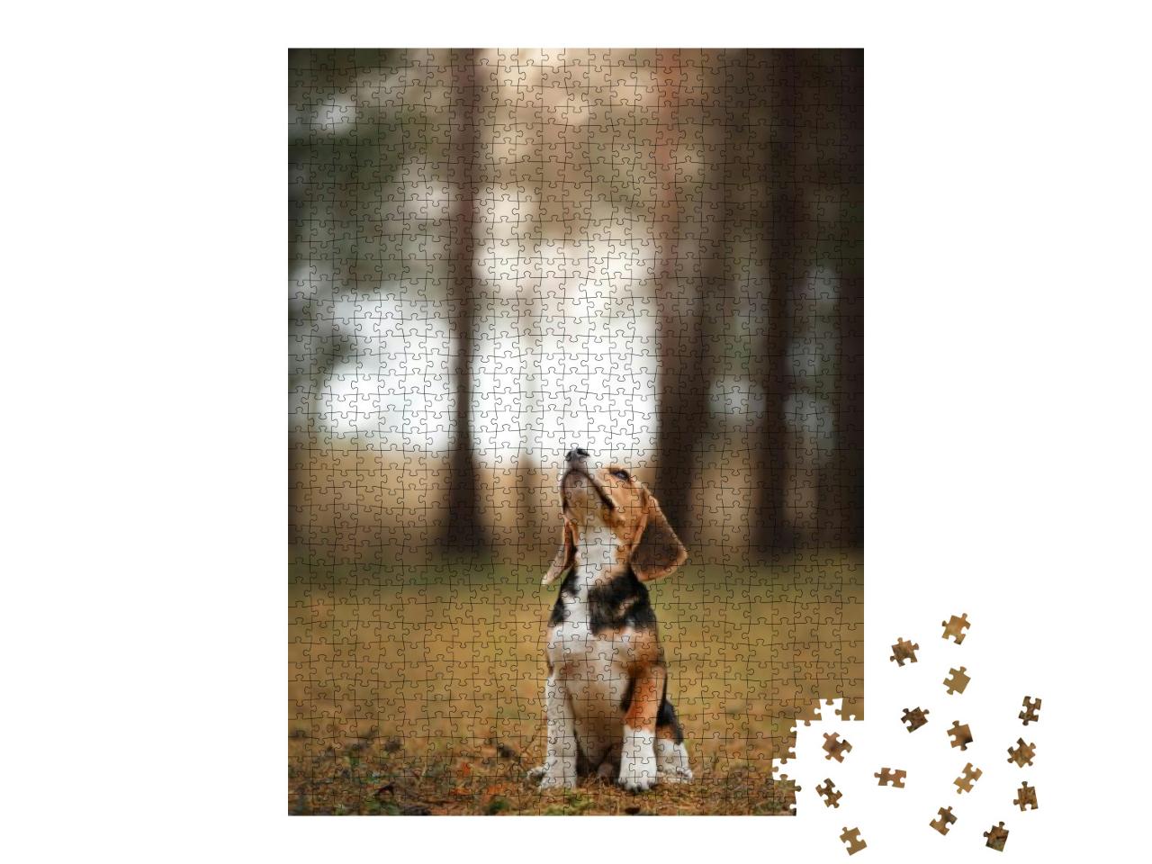 Dog on Nature in the Park. Beagle Puppy. Pet for a Walk... Jigsaw Puzzle with 1000 pieces