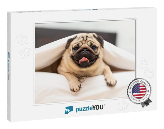Cute Pug Dog Breed Lying in Blanket on White Bed in Cozy... Jigsaw Puzzle