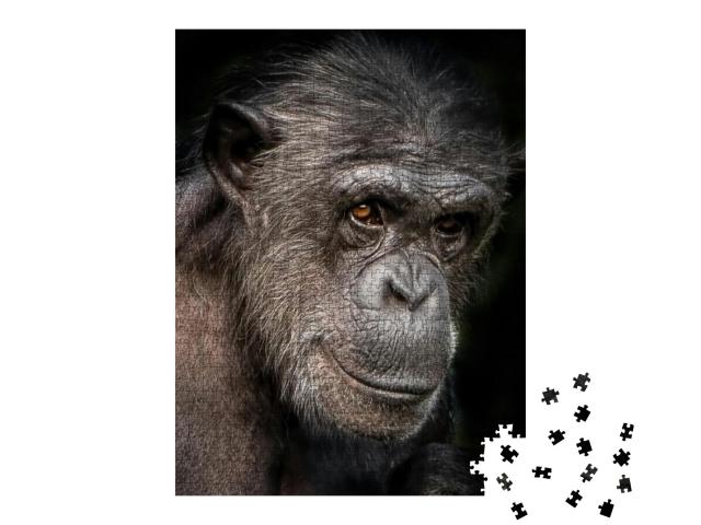 A Close-Up Portrait Photo of a Female Chimpanzee... Jigsaw Puzzle with 1000 pieces