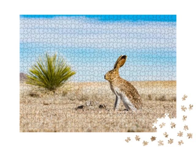 White-Sided Jack Rabbit... Jigsaw Puzzle with 1000 pieces