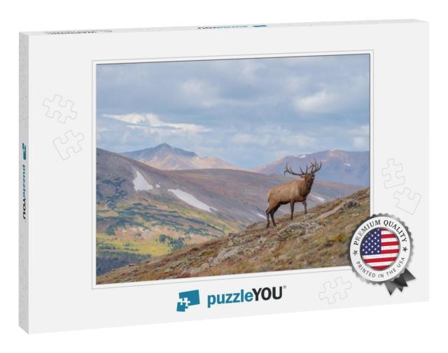 Wild Elk in the West... Jigsaw Puzzle