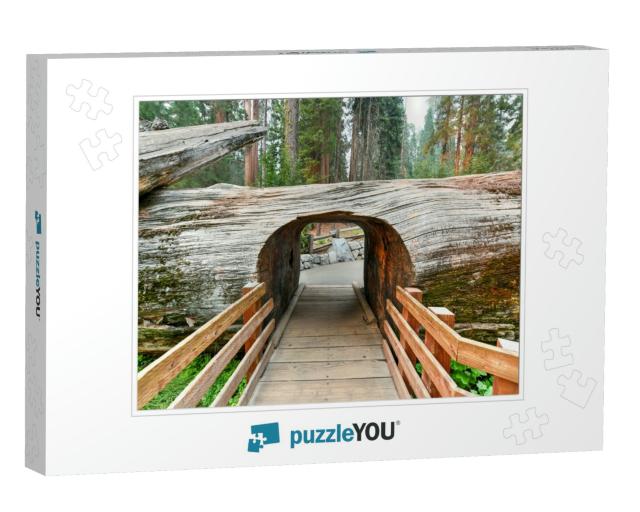 Entrance to Grove with Giant Sequoia Trees, General Sherm... Jigsaw Puzzle