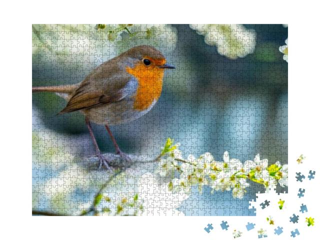 Red Robin Erithacus Rubecula Bird Close Up in the Spring... Jigsaw Puzzle with 1000 pieces