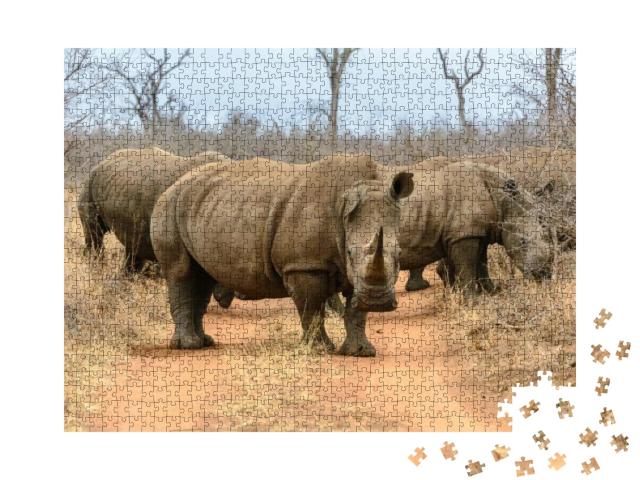 White Rhinoceros in Hlane Royal National Park, Swaziland... Jigsaw Puzzle with 1000 pieces