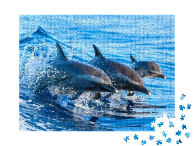 A Spotted Dolphin Family Leaping Out of the Clear Blue Ha... Jigsaw Puzzle with 1000 pieces