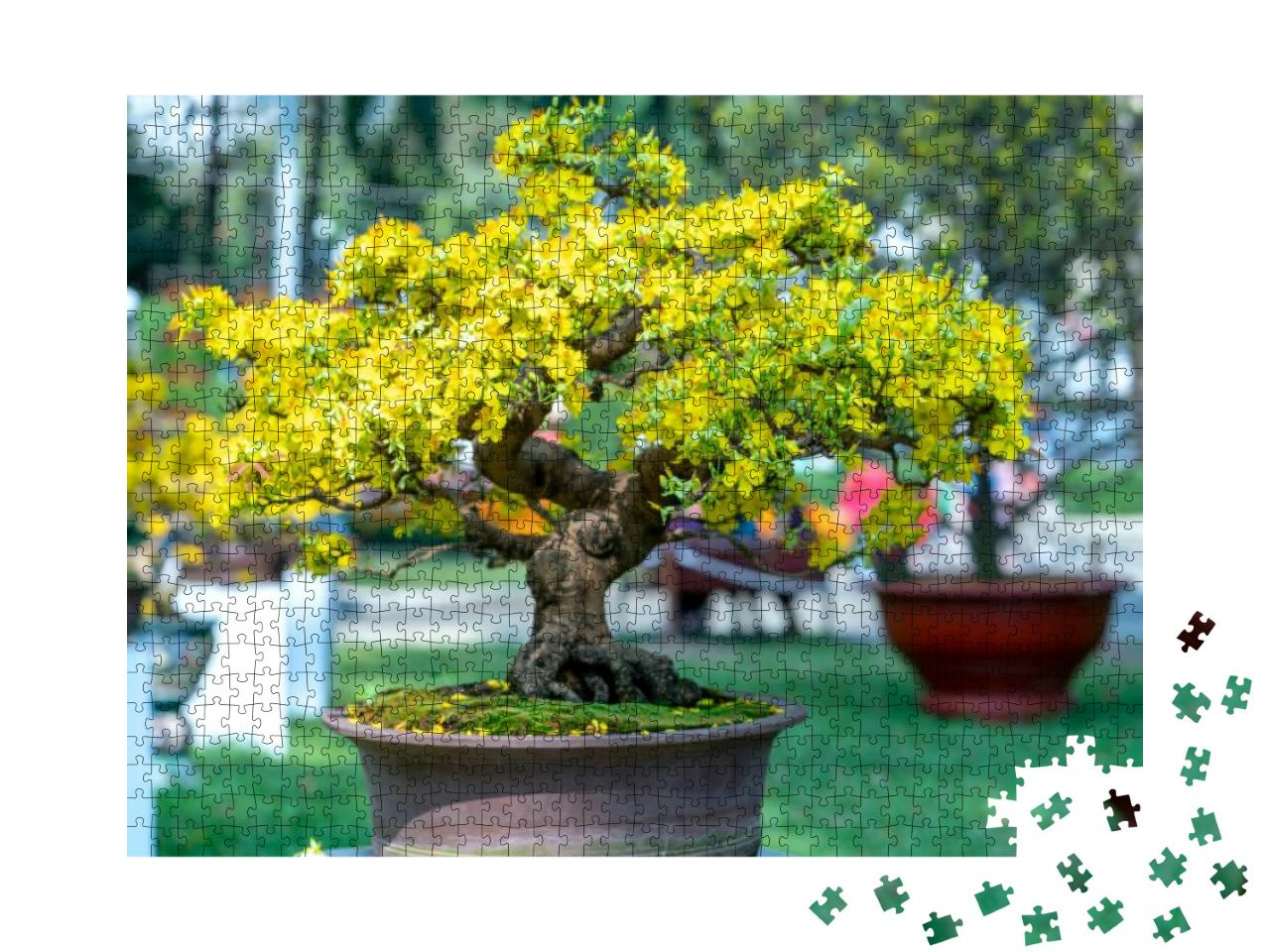 Apricot Bonsai Tree Blooming with Yellow Flowering Branch... Jigsaw Puzzle with 1000 pieces