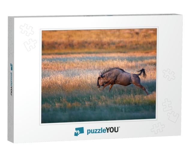 Blue Wildebeest, Connochaetes Taurinus, Large Antelope in... Jigsaw Puzzle