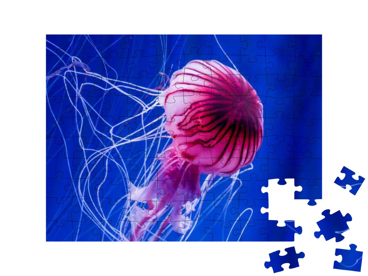 Jellyfish... Jigsaw Puzzle with 100 pieces