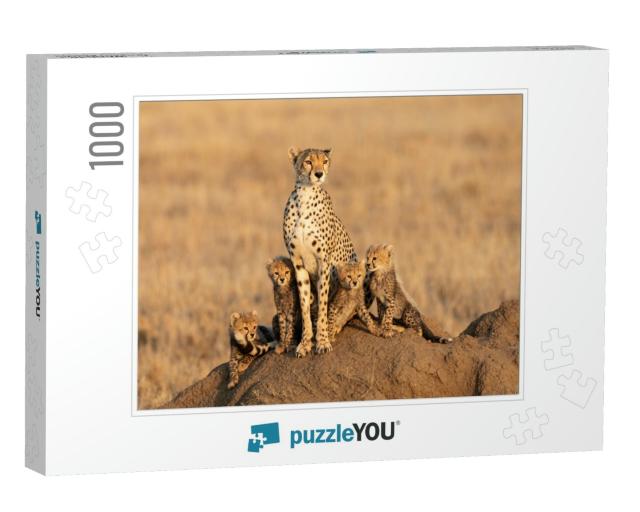 Female Cheetah & Her Four Tiny Cubs Sitting on a Large Te... Jigsaw Puzzle with 1000 pieces