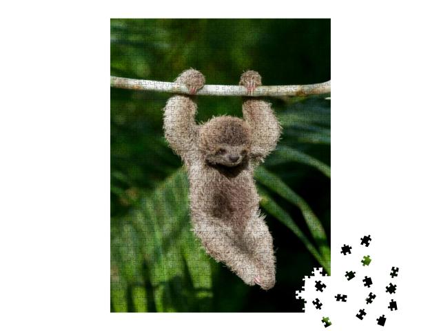 Cute Baby Sloth Hanging from Tree Branch... Jigsaw Puzzle with 1000 pieces