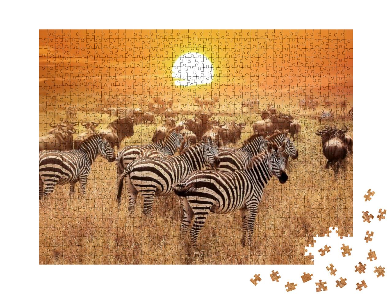 Zebra At Sunset in the Serengeti National Park. Africa. T... Jigsaw Puzzle with 1000 pieces