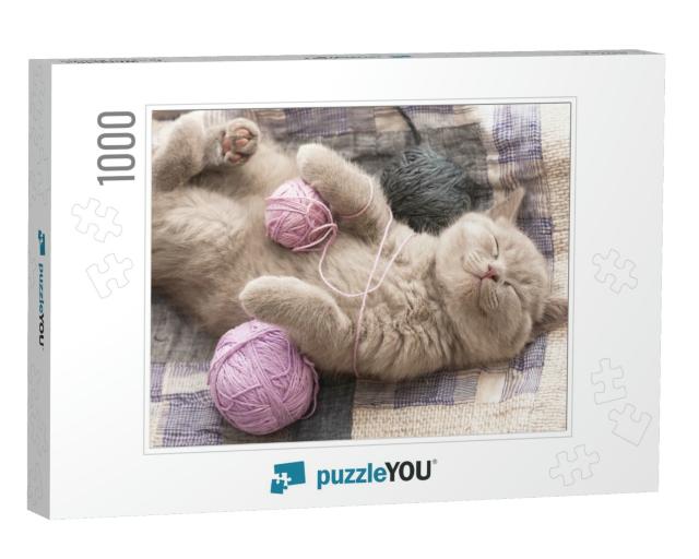 Sleeping Kitten Rare Color Lilac... Jigsaw Puzzle with 1000 pieces