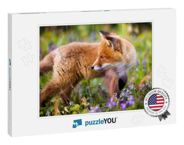 Portrait of a Beautiful & Curious Red Fox Cub Encountered... Jigsaw Puzzle