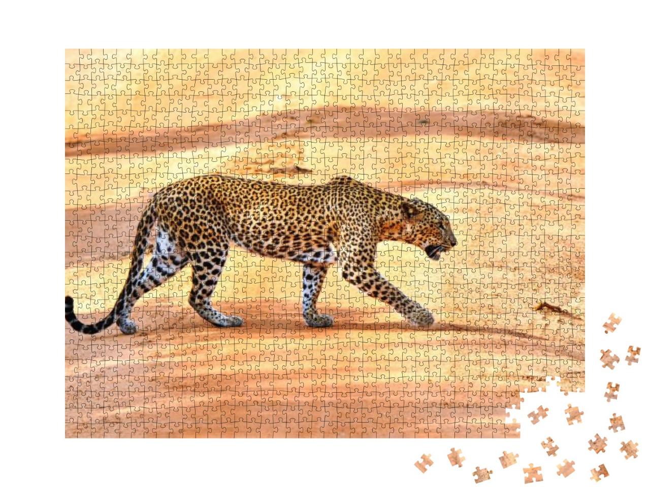 Wild Leopard Hunt in Africa... Jigsaw Puzzle with 1000 pieces