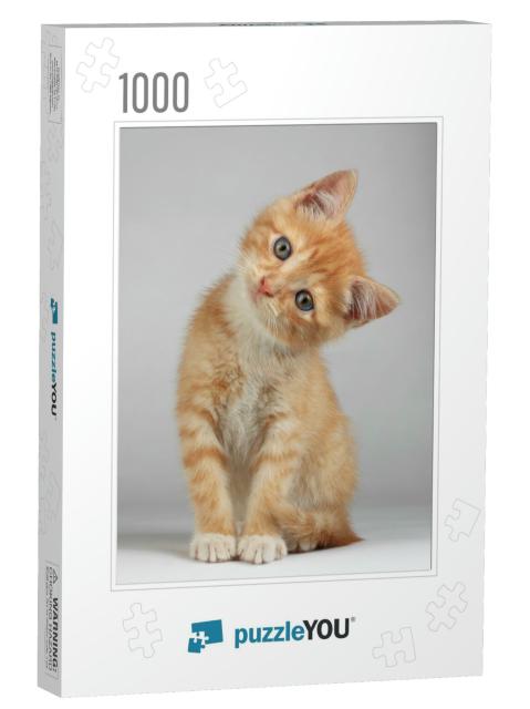 Cute Little Kitten... Jigsaw Puzzle with 1000 pieces