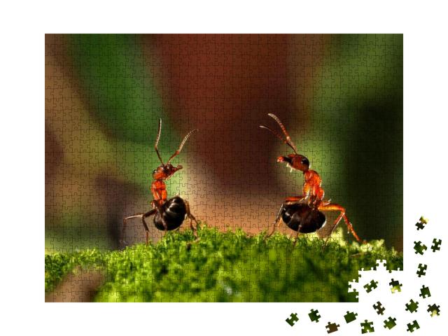 Battle of Two Ants. Beautiful Ants Are on the Moss Liftin... Jigsaw Puzzle with 1000 pieces
