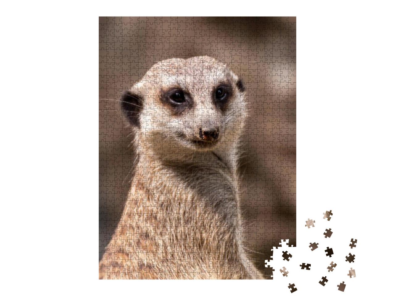 Meerkat on Guard Duty. Meerkat on the Lookout. Meerkat on... Jigsaw Puzzle with 1000 pieces