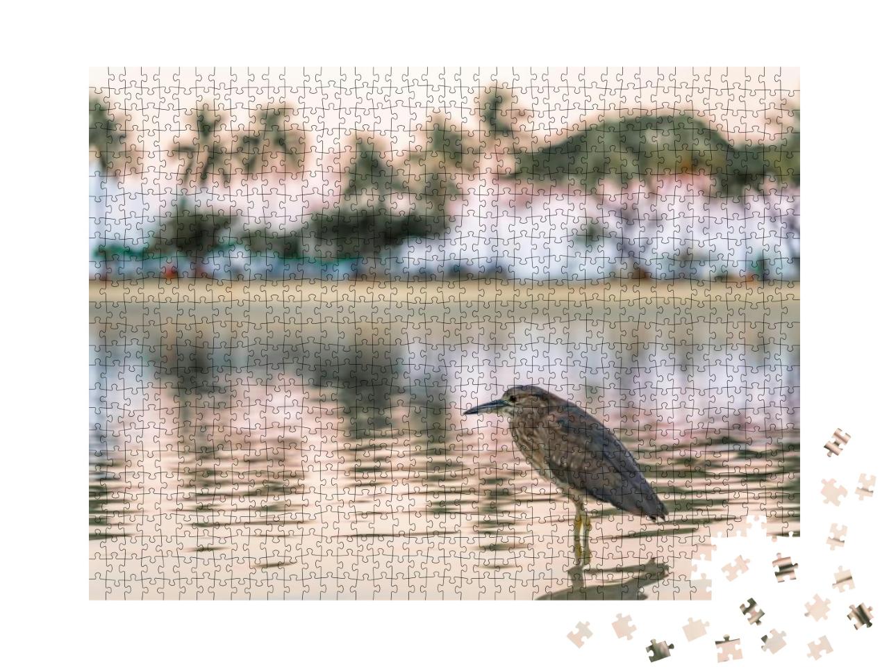 A Beautiful Bird At a Lagoon in Honolulu, Hawaii, At Waik... Jigsaw Puzzle with 1000 pieces