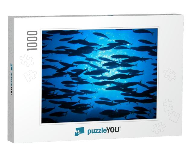 Shoal of Fish in the Blue Water of the Ocean... Jigsaw Puzzle with 1000 pieces