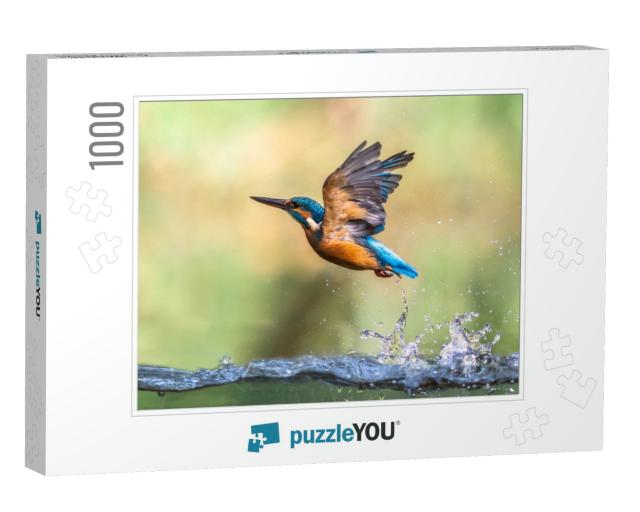 Common European Kingfisher Alcedo Atthis. River Kingfishe... Jigsaw Puzzle with 1000 pieces