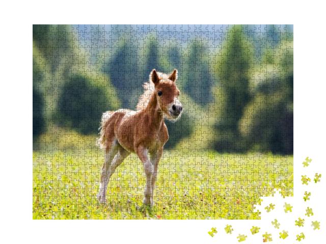 Foal Mini Horse Falabella... Jigsaw Puzzle with 1000 pieces