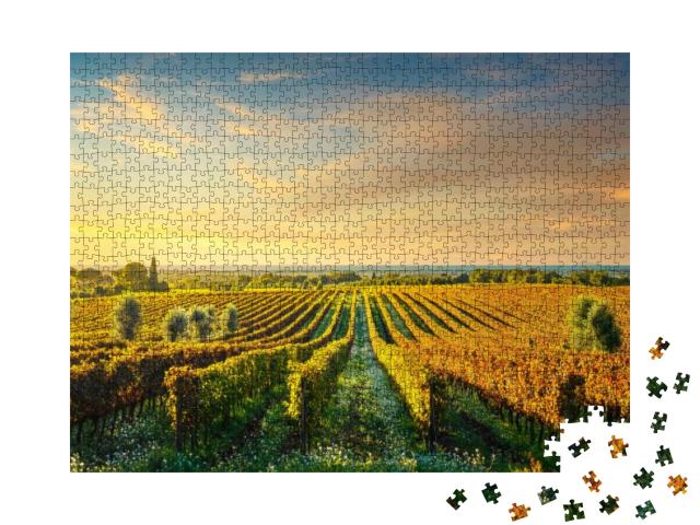 Bolgheri Vineyard, Olive Trees & Flowers At Sunset. Autum... Jigsaw Puzzle with 1000 pieces