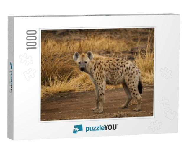 Spotted Hyena in the Savannah... Jigsaw Puzzle with 1000 pieces