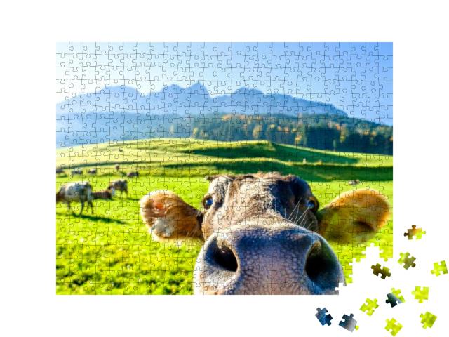 Funny Cow At the Kaisergebirge Mountain... Jigsaw Puzzle with 500 pieces