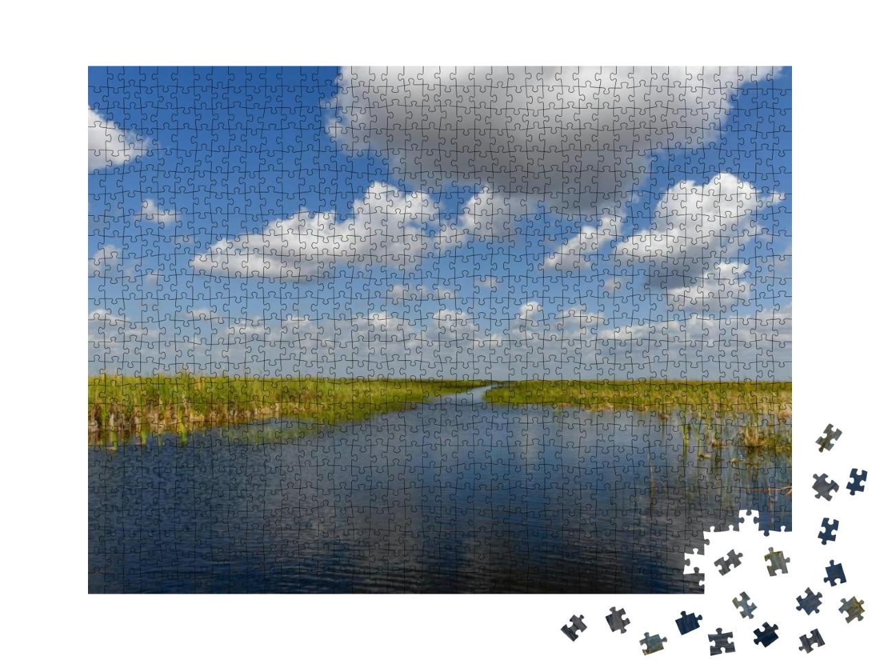 Florida Wetland in the Everglades National Park in Usa. P... Jigsaw Puzzle with 1000 pieces