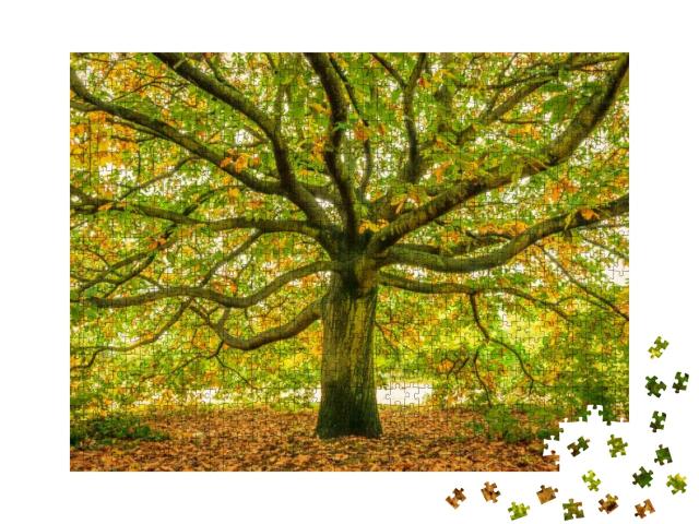 Large Oak Tree, London, England... Jigsaw Puzzle with 1000 pieces