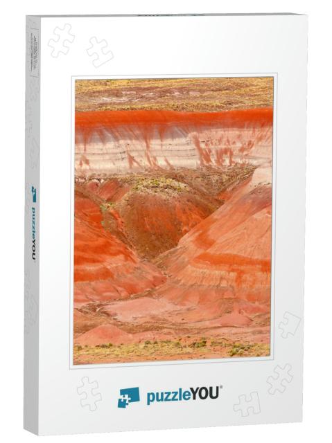 Petrified Forest National Park is in Northeastern Arizona... Jigsaw Puzzle