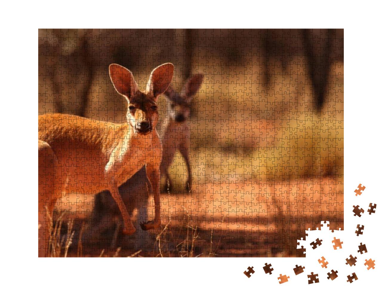 A Female Red Kangaroo with Her Joey on the Red Sand of Ou... Jigsaw Puzzle with 1000 pieces