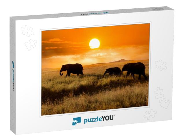 Family of Elephants At Sunset in the National Park of Afr... Jigsaw Puzzle