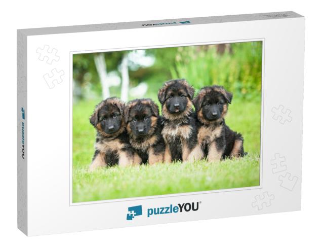 Group of Four Little German Shepherd Puppies... Jigsaw Puzzle