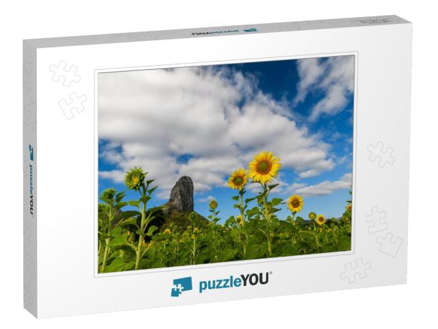 Sunflowers is Blooming in the Sunflower Field with Big Mo... Jigsaw Puzzle