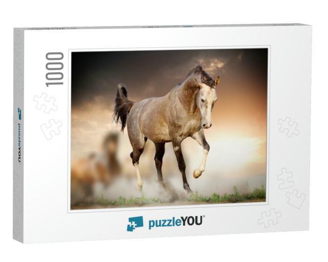 Arab Stallion in Sunset... Jigsaw Puzzle with 1000 pieces