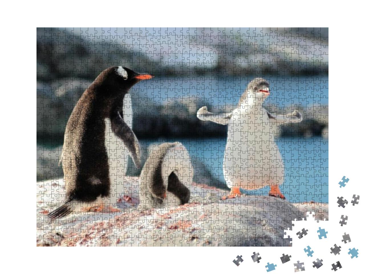 Strongest Gentoo Penguin Cute Funny Baby Chick Mummy Mom... Jigsaw Puzzle with 1000 pieces