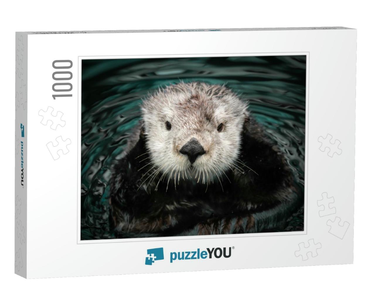 Sea Otter Posing in the Water... Jigsaw Puzzle with 1000 pieces